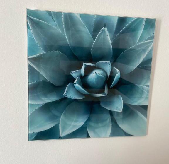 هتل Albergo 900strati