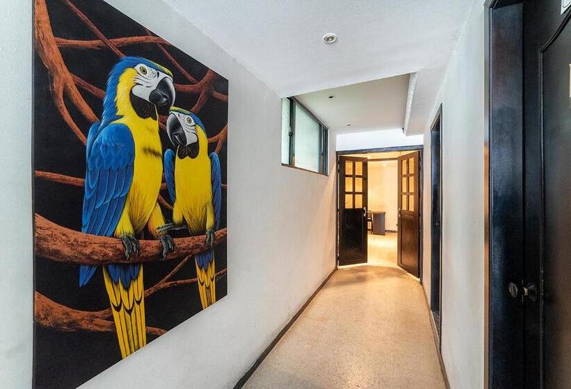 هتل Elegant Suite