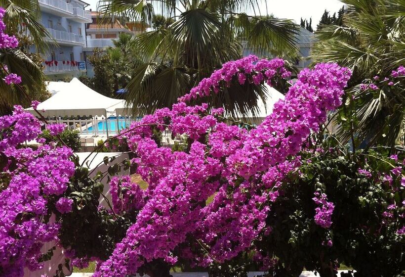 هتل Centro Vacanze Domus M.g