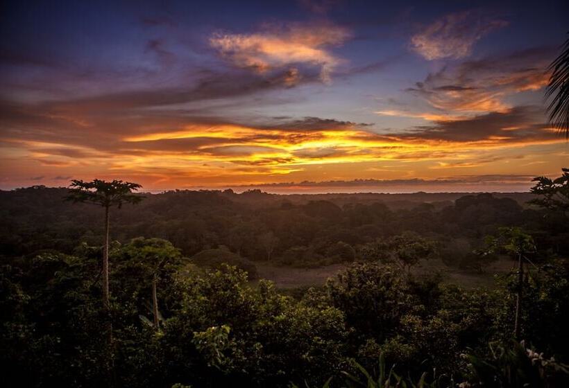 ホテル Costa Rica Yoga Spa
