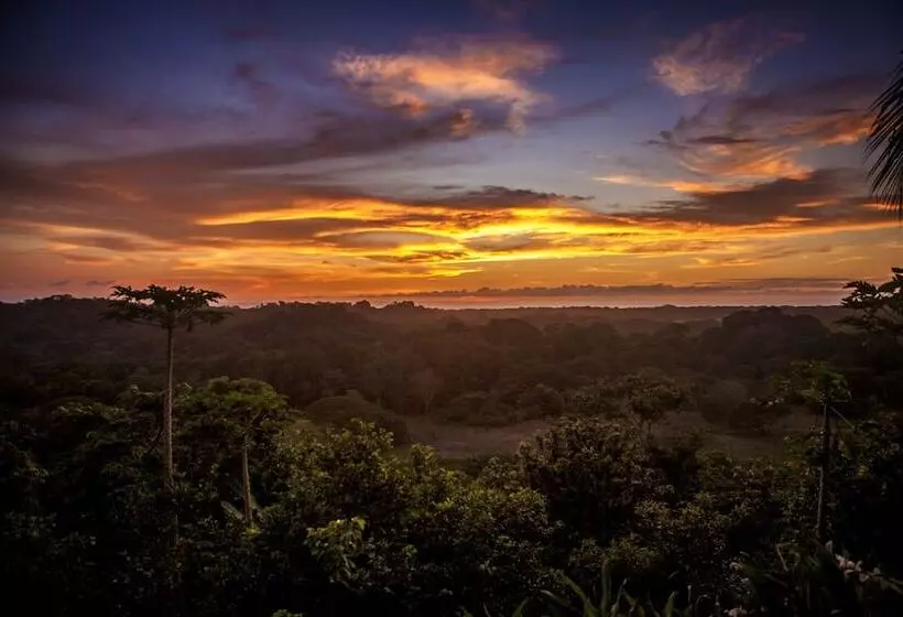 Hotelli Costa Rica Yoga Spa