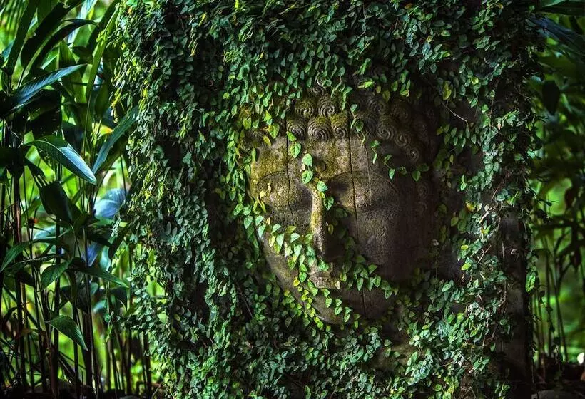 Hotelli Costa Rica Yoga Spa