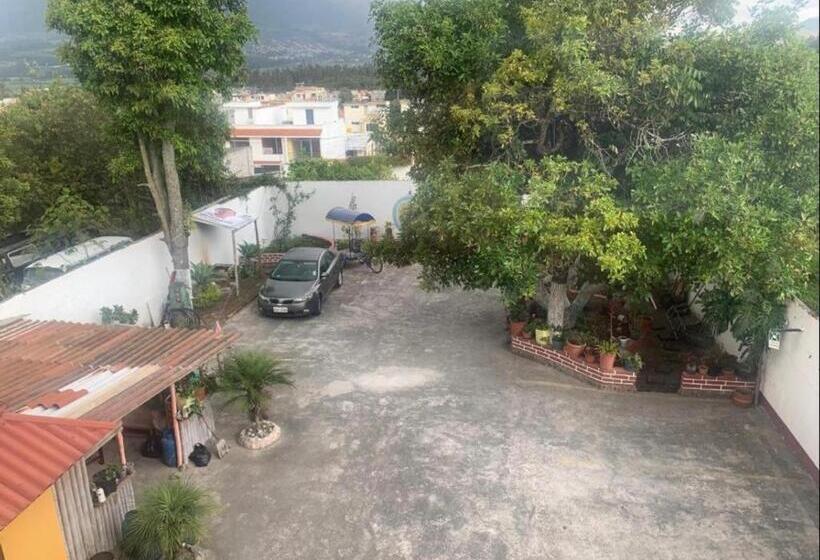 בית מלון כפרי Hostal Jora Continental