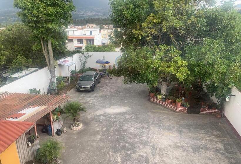 בית מלון כפרי Hostal Jora Continental