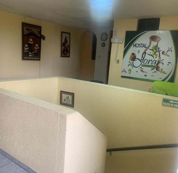 בית מלון כפרי Hostal Jora Continental