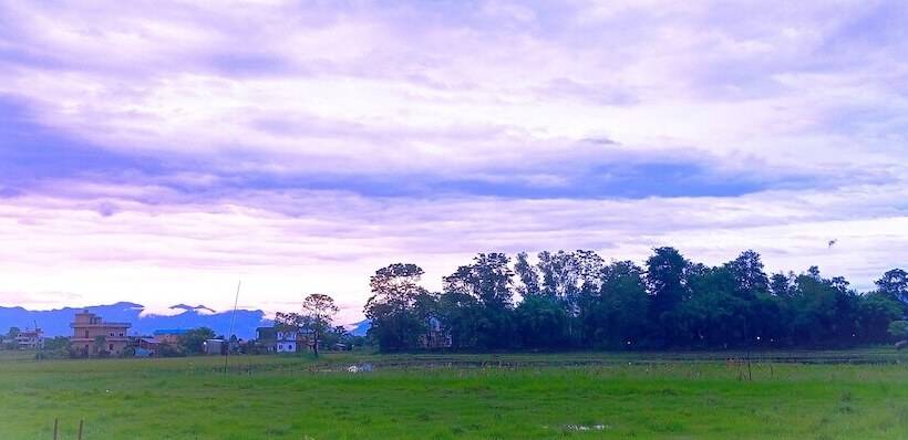 هتل National Park Sauraha  Homely Stay And Peaceful Location With Jungle Safari Arrangements