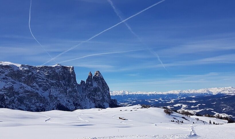 酒店 Paradiso Pure.living Vegan