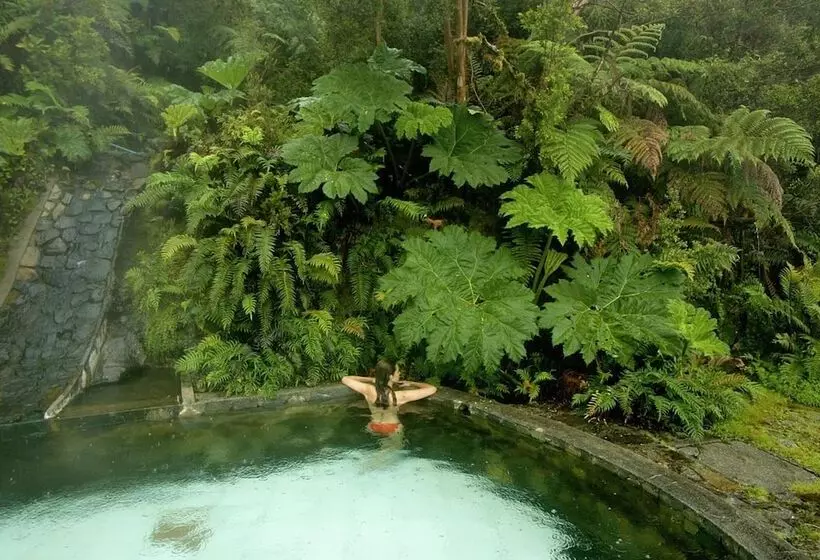 ホテル Puyuhuapi Lodge & Spa