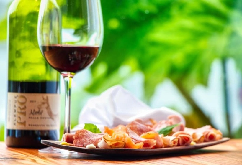 Szálloda Puyuhuapi Lodge & Spa