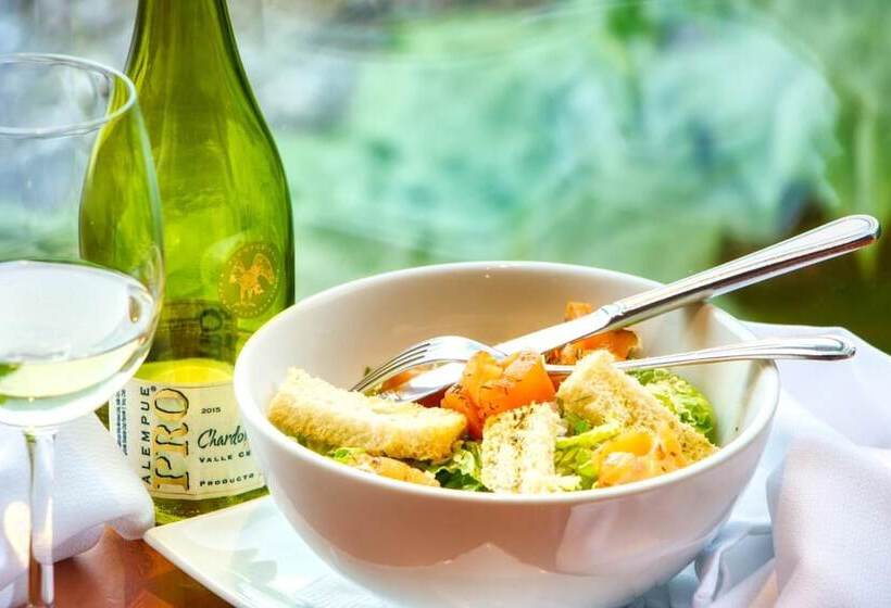 Szálloda Puyuhuapi Lodge & Spa