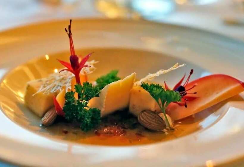 Hôtel Puyuhuapi Lodge & Spa