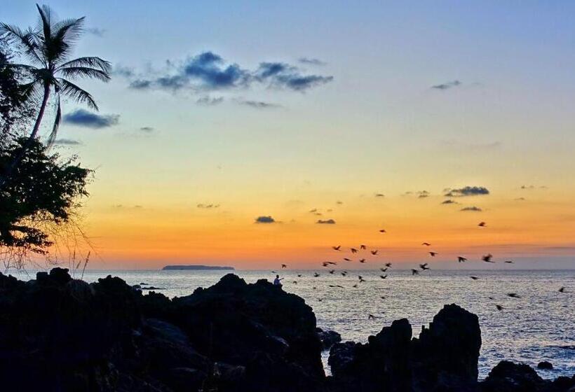 هاستل Corcovado Adventures