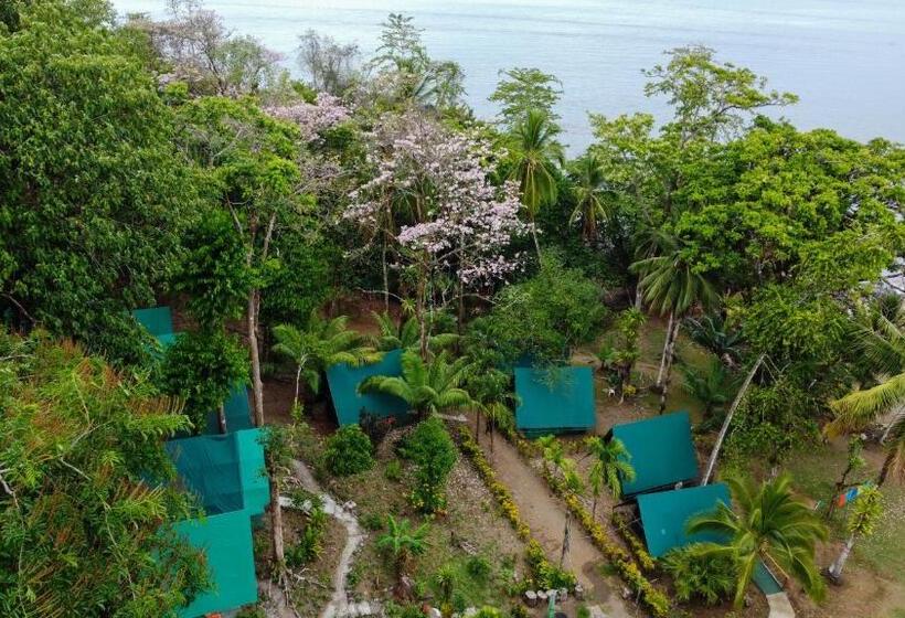 هاستل Corcovado Adventures