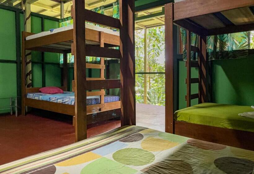 هاستل Corcovado Adventures