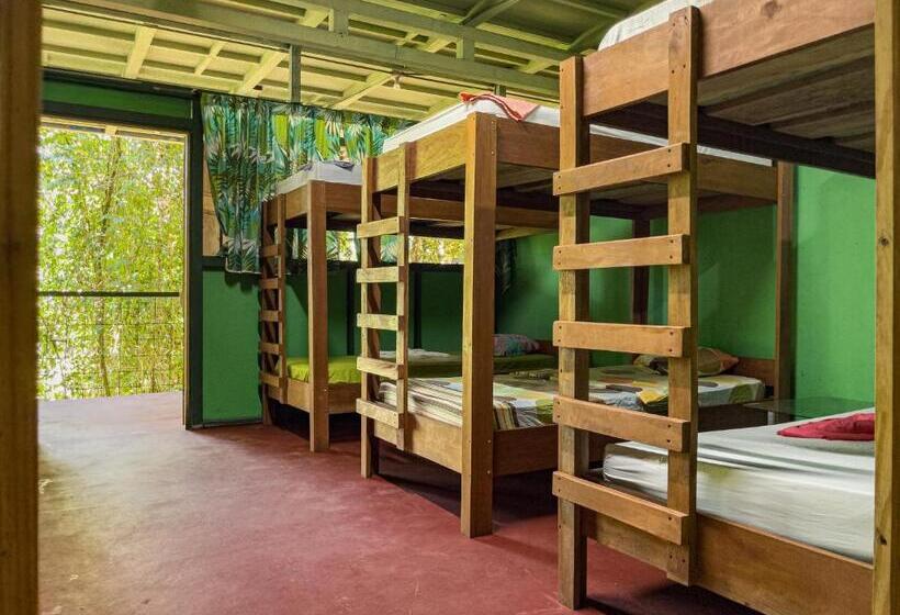 هاستل Corcovado Adventures