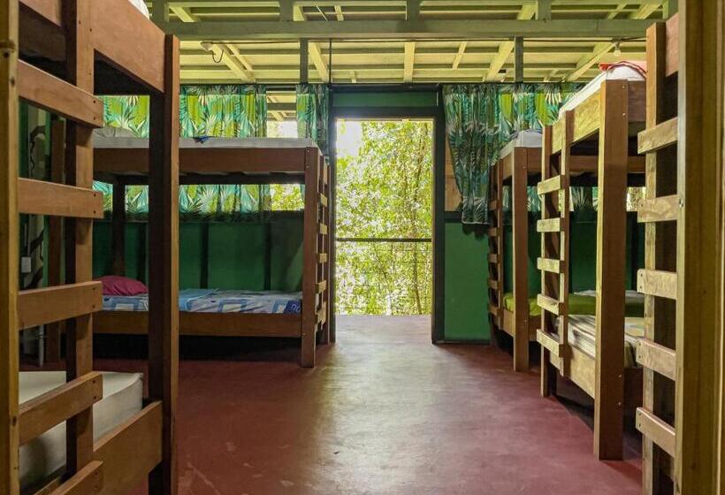 هاستل Corcovado Adventures