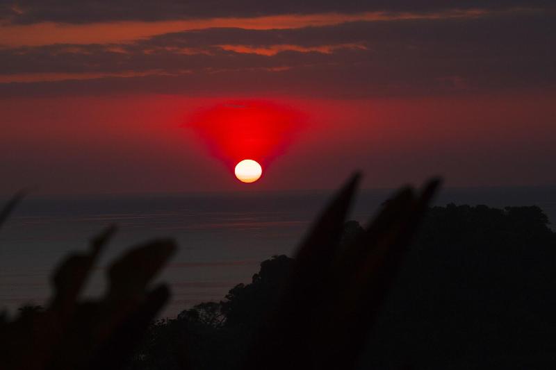 هاستل Pura Natura Lodge Manuel Antonio