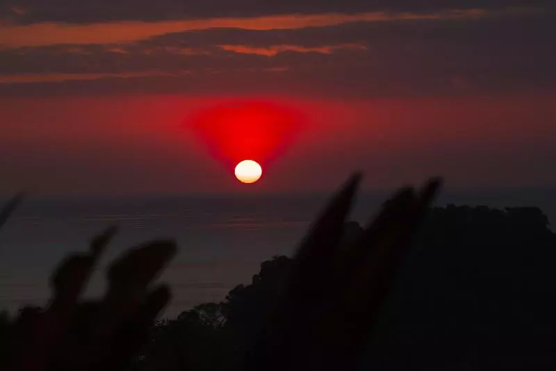 ユースホステル Pura Natura Lodge Manuel Antonio