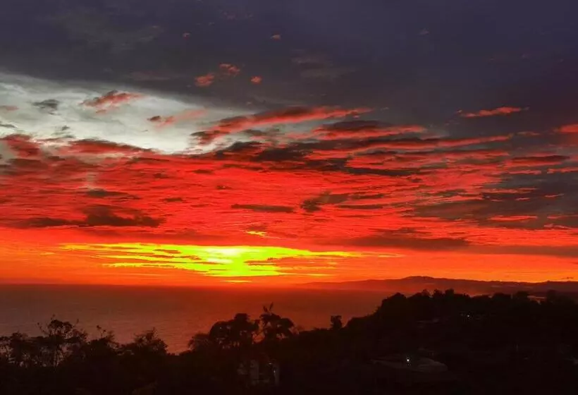 ユースホステル Pura Natura Lodge Manuel Antonio