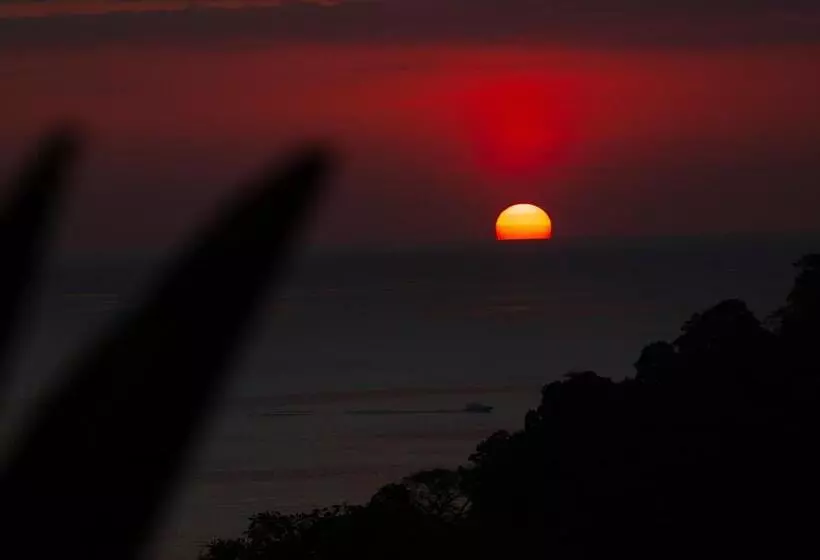 ユースホステル Pura Natura Lodge Manuel Antonio
