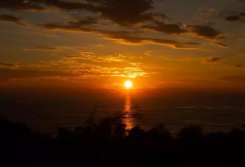 ユースホステル Pura Natura Lodge Manuel Antonio