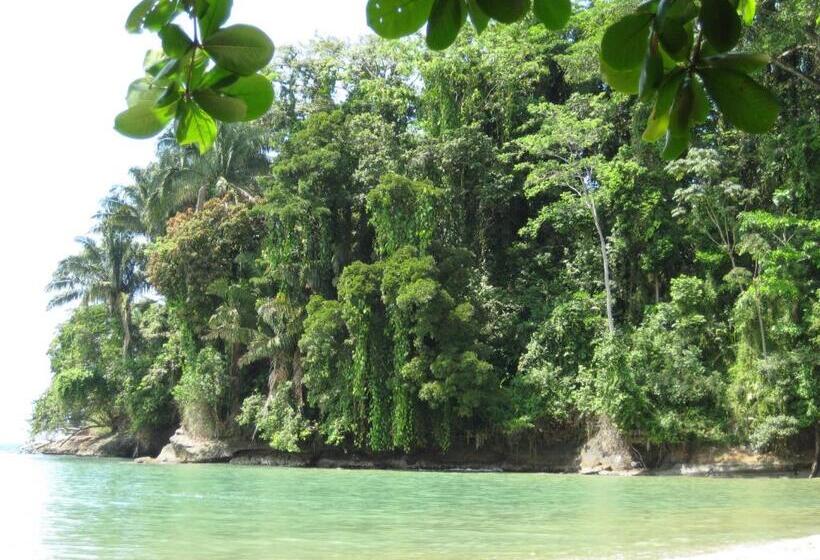 Bed and Breakfast El Tucan Jungle Lodge