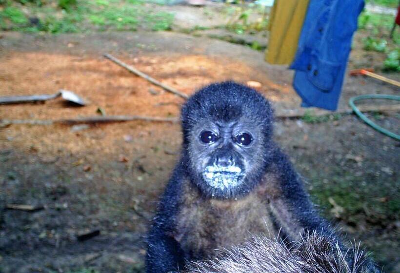 Bed and Breakfast El Tucan Jungle Lodge