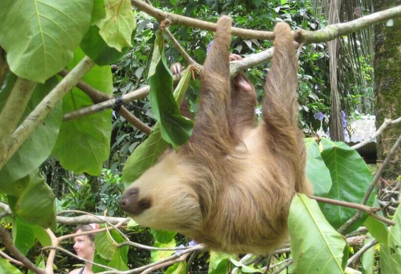 Bed and Breakfast El Tucan Jungle Lodge