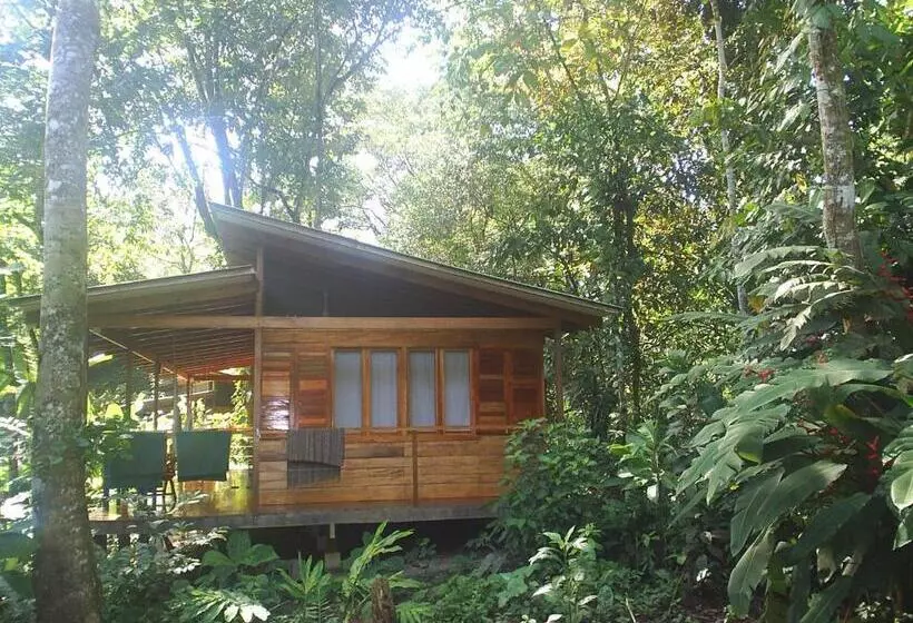 Aamiaismajoitus (B&B) El Tucan Jungle Lodge