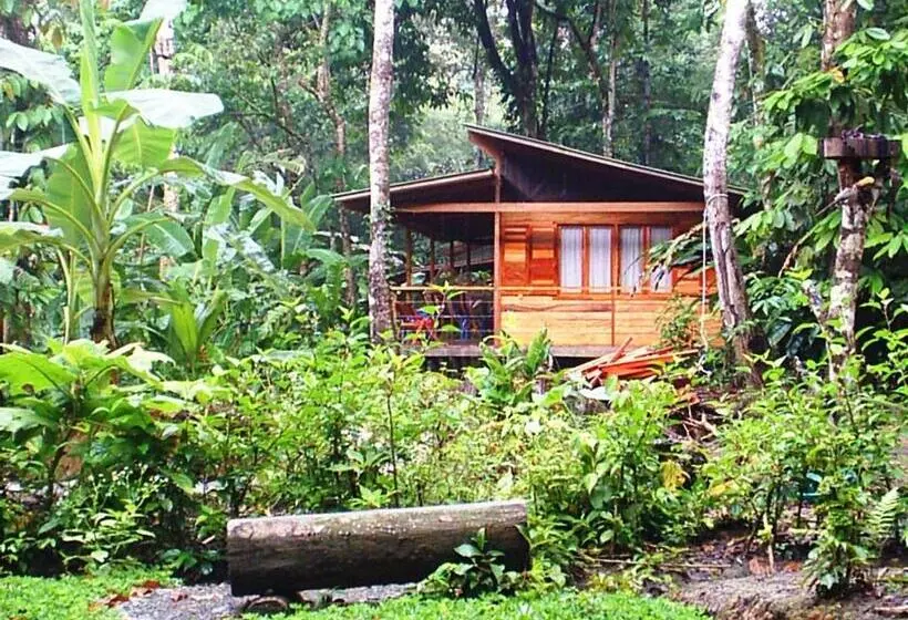 Aamiaismajoitus (B&B) El Tucan Jungle Lodge