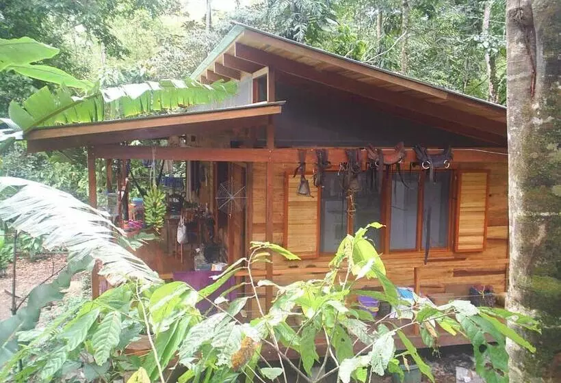 Aamiaismajoitus (B&B) El Tucan Jungle Lodge