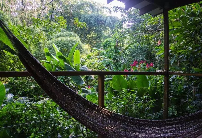 Aamiaismajoitus (B&B) El Tucan Jungle Lodge