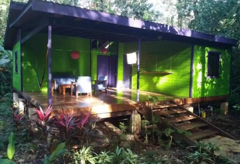 Aamiaismajoitus (B&B) El Tucan Jungle Lodge