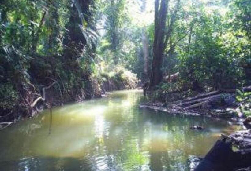 Bed and Breakfast El Tucan Jungle Lodge