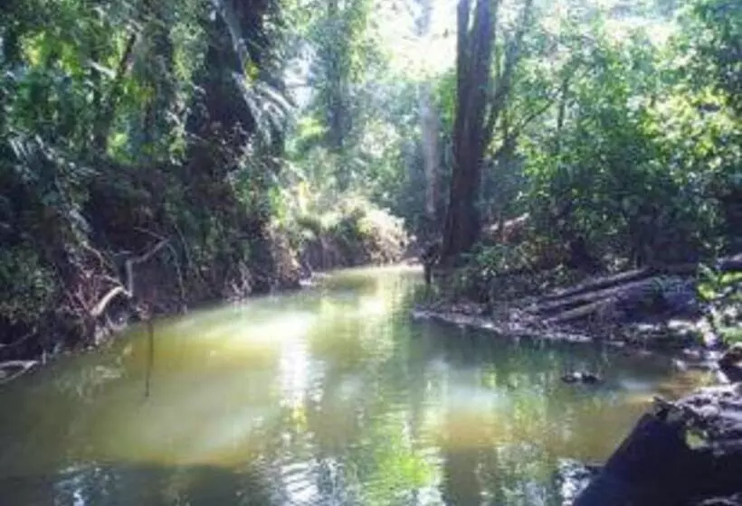 Aamiaismajoitus (B&B) El Tucan Jungle Lodge