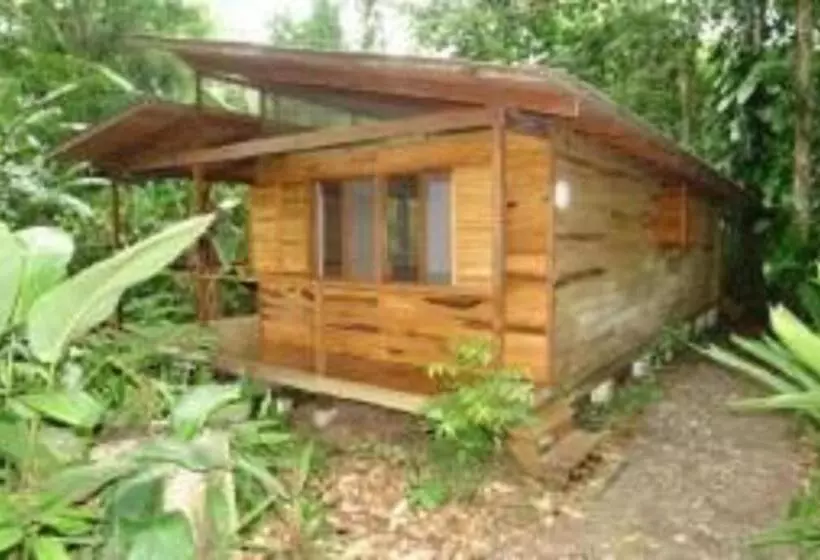 Aamiaismajoitus (B&B) El Tucan Jungle Lodge
