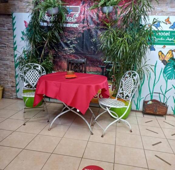 مبيت وإفطار Rancha Azul Inn