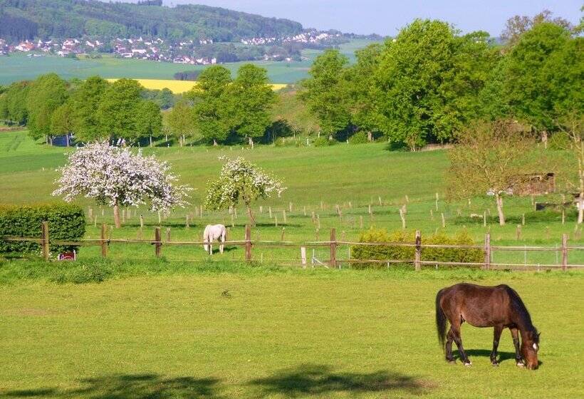 酒店 Antoniushutte