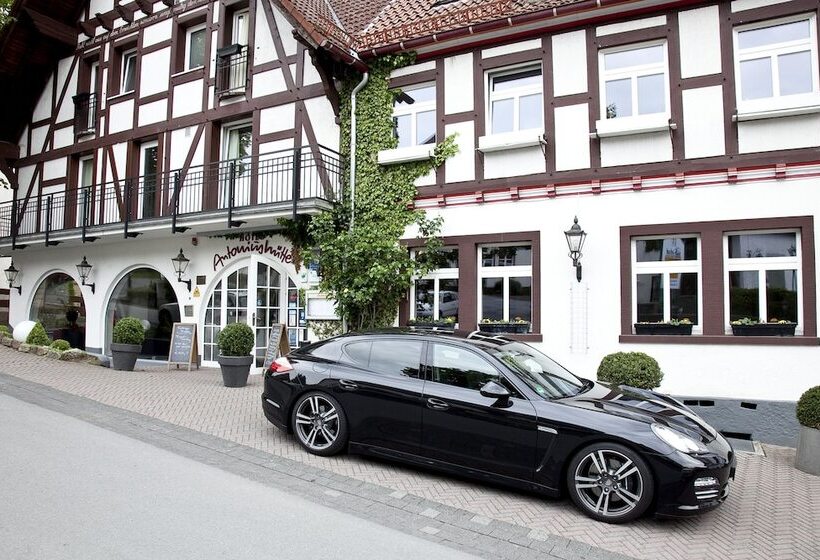 酒店 Antoniushutte