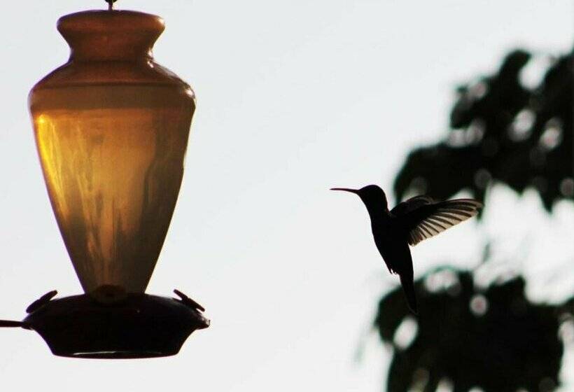 فندق Bosque Verde Lodge