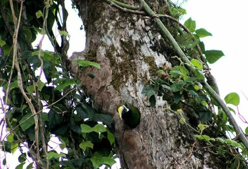 فندق Bosque Verde Lodge