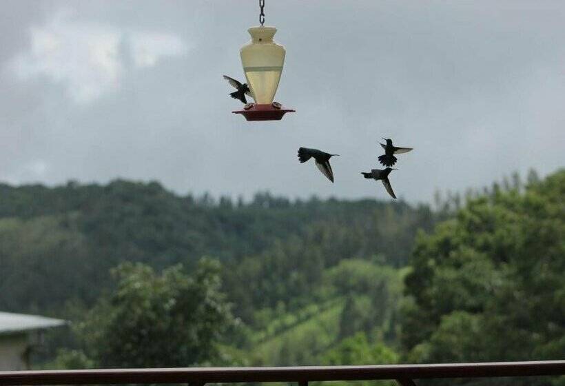 فندق Bosque Verde Lodge