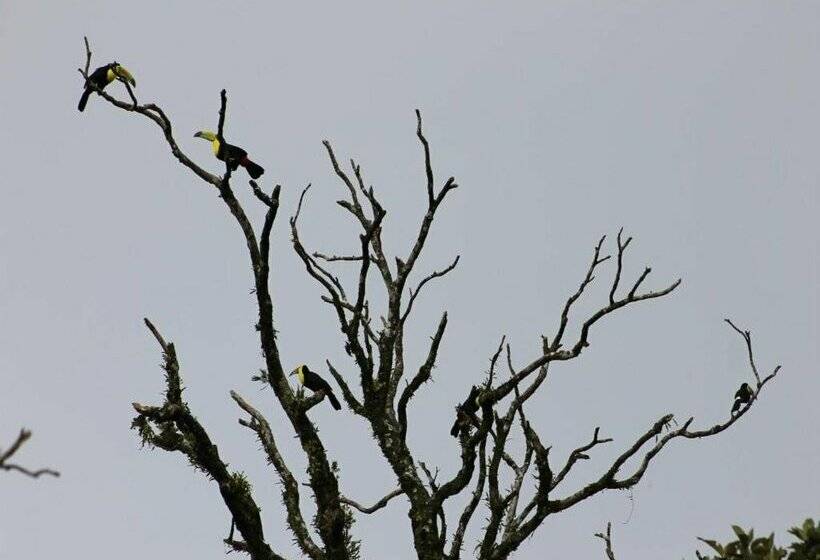فندق Bosque Verde Lodge