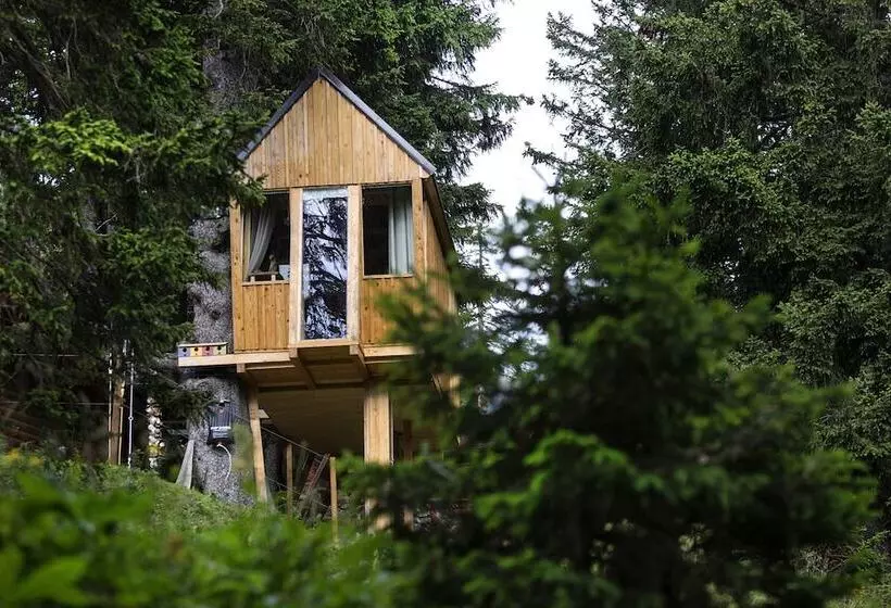هتل Chalet Alpinka