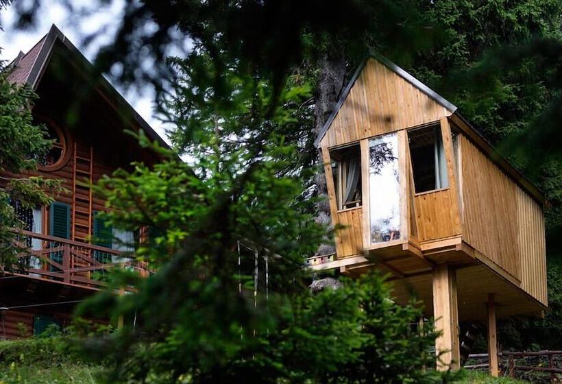 هتل Chalet Alpinka