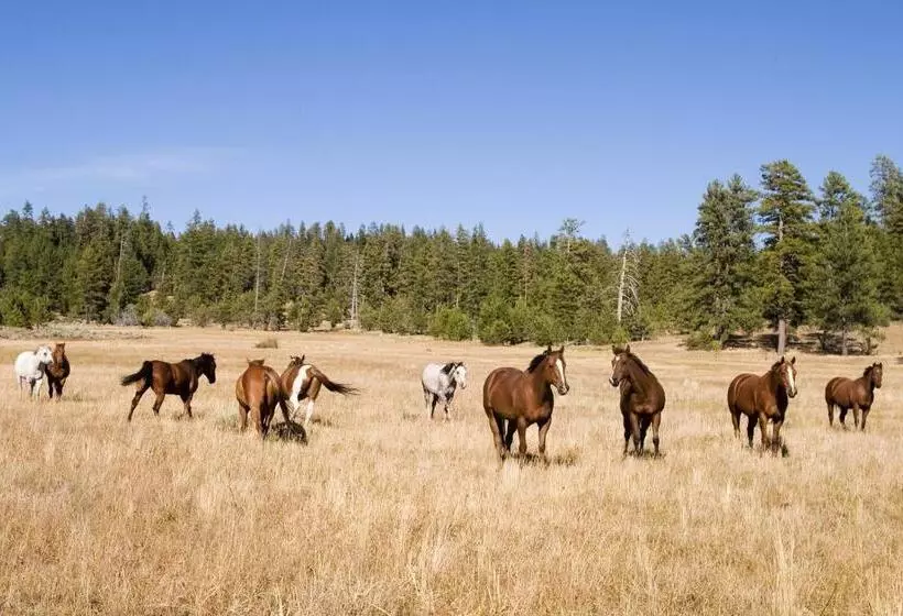 ホテル Fairway Village Unit 9