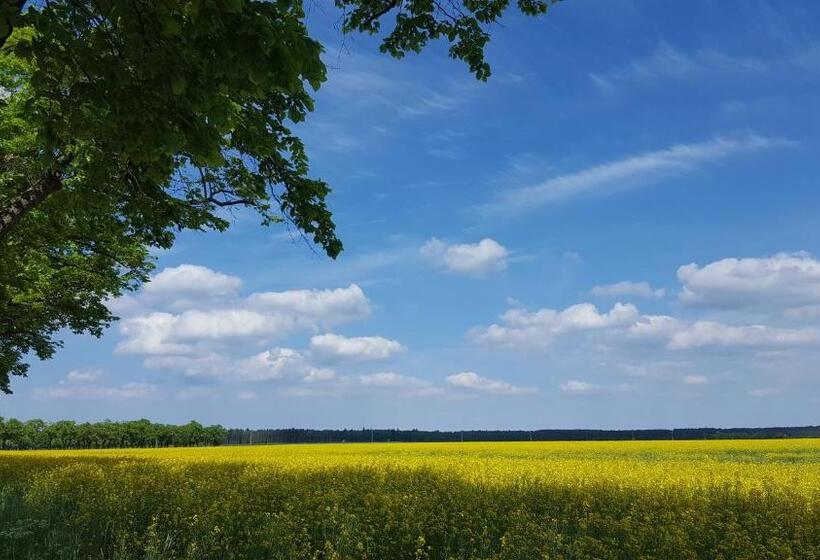 ホテル Kunst Pension Frahm