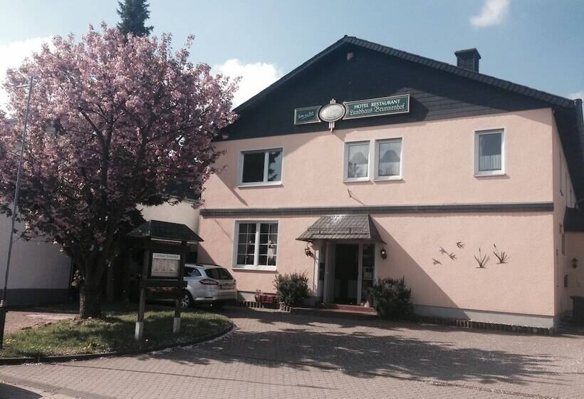 בית מלון כפרי Landhaus Brunnenhof