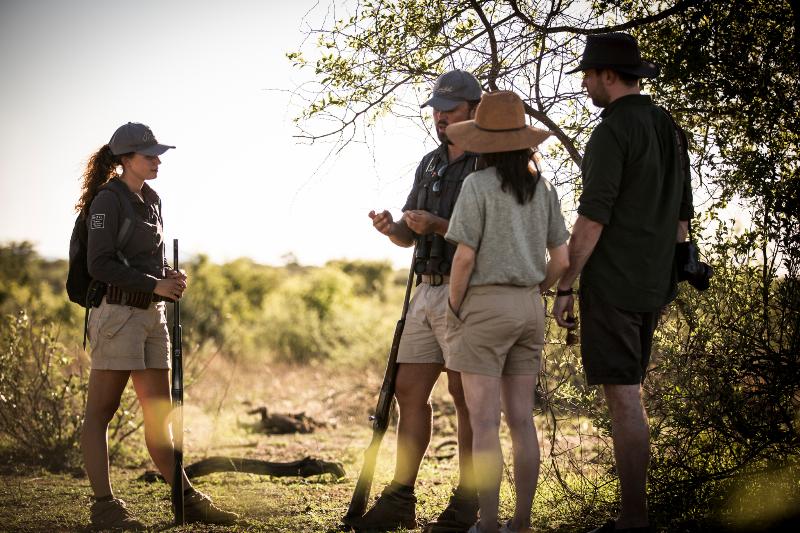 בית מלון כפרי Marataba Safari Lodge