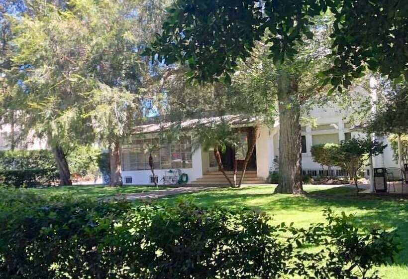 فندق Orange Drive Hostel